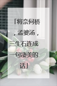 将奈何桥,孟婆汤,三生石连成一句凄美的话