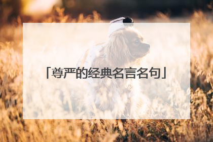 尊严的经典名言名句