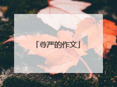 尊严的作文