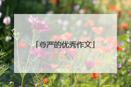 尊严的优秀作文