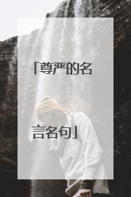 尊严的名言名句