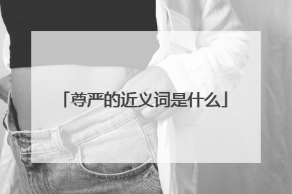 尊严的近义词是什么