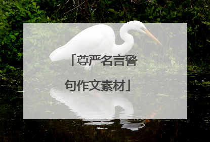 尊严名言警句作文素材
