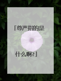 尊严指的是什么啊?