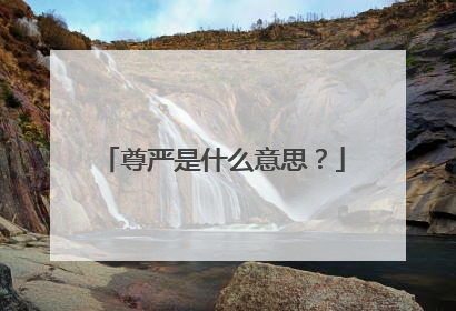 尊严是什么意思?