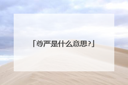 尊严是什么意思?