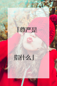 尊严是指什么