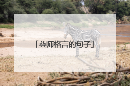 尊师格言的句子