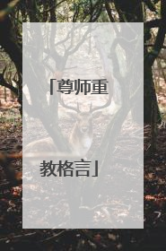尊师重教格言