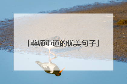 尊师重道的优美句子
