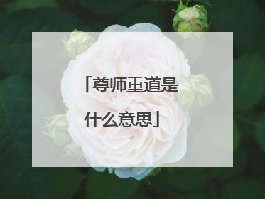 尊师重道是什么意思
