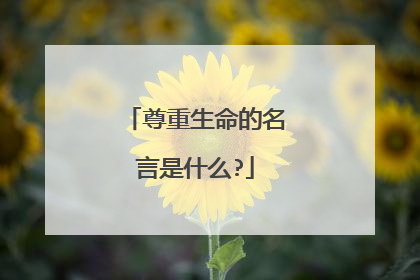 尊重生命的名言是什么?