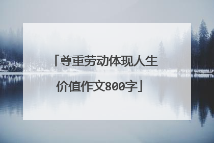 尊重劳动体现人生价值作文800字