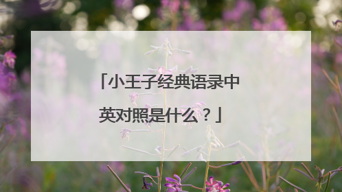 小王子经典语录中英对照是什么?