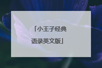 小王子经典语录英文版