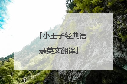 小王子经典语录英文翻译