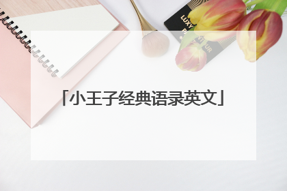 小王子经典语录英文