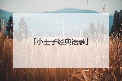 小王子经典语录