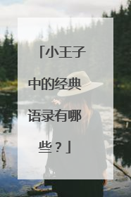小王子中的经典语录有哪些?