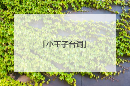 小王子台词