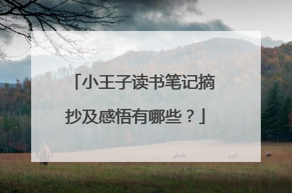小王子读书笔记摘抄及感悟有哪些?