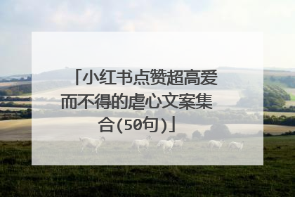 小红书点赞超高爱而不得的虐心文案集合(50句)