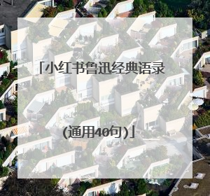 小红书鲁迅经典语录 (通用40句)