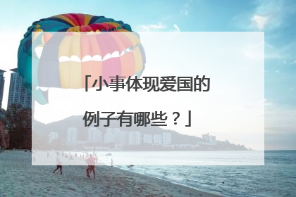 小事体现爱国的例子有哪些?