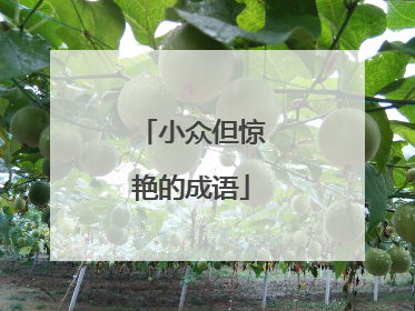 小众但惊艳的成语