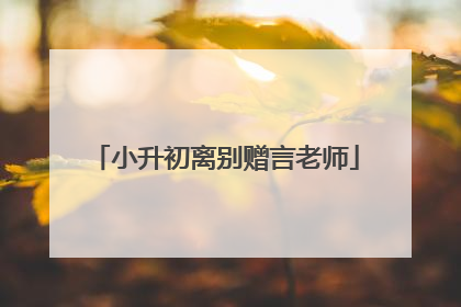 小升初离别赠言老师