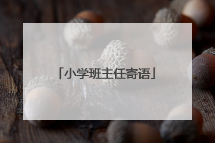 小学班主任寄语