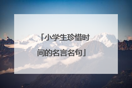 小学生珍惜时间的名言名句
