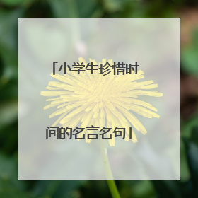 小学生珍惜时间的名言名句