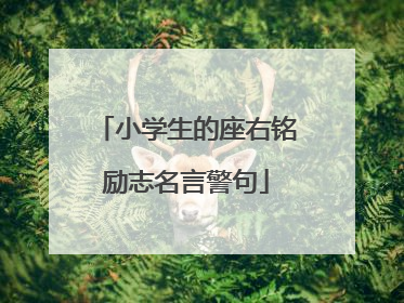 小学生的座右铭励志名言警句