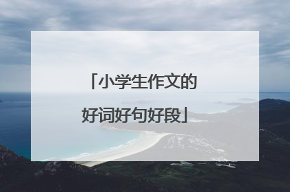 小学生作文的好词好句好段