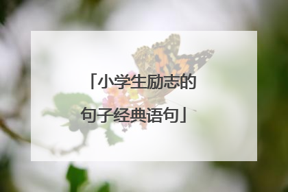 小学生励志的句子经典语句