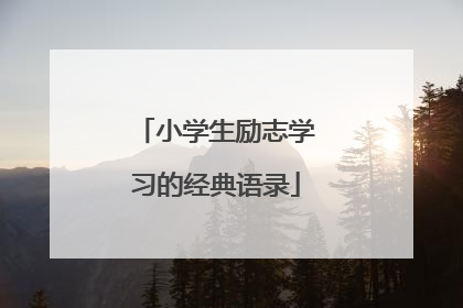 小学生励志学习的经典语录