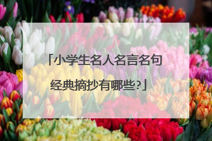 小学生名人名言名句经典摘抄有哪些?