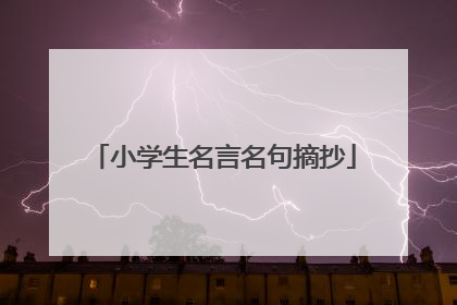 小学生名言名句摘抄