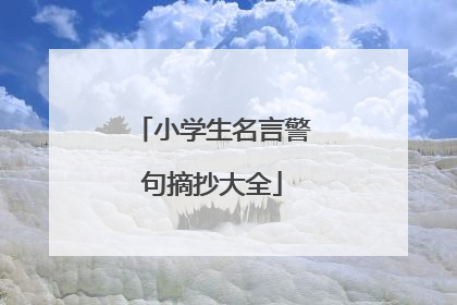小学生名言警句摘抄大全