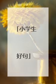 小学生好句
