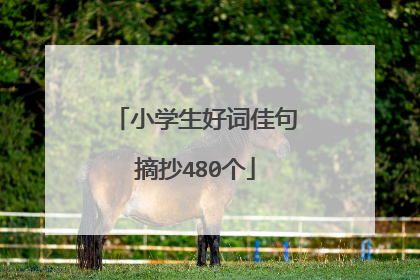 小学生好词佳句摘抄480个