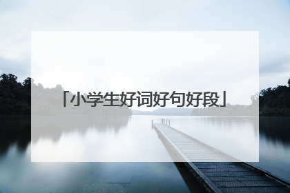 小学生好词好句好段