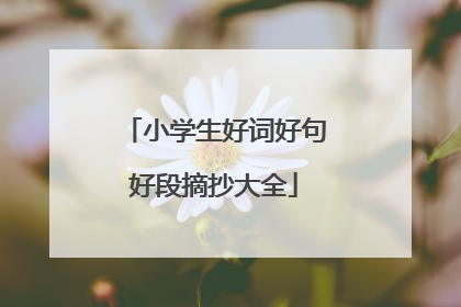 小学生好词好句好段摘抄大全