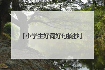 小学生好词好句摘抄
