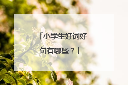 小学生好词好句有哪些?