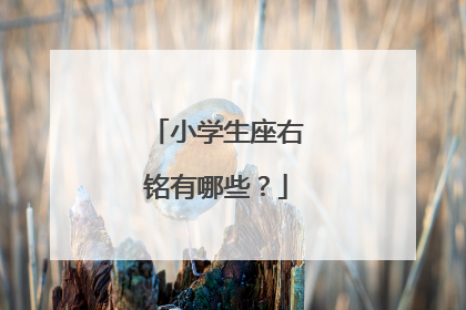 小学生座右铭有哪些?