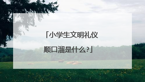 小学生文明礼仪顺口溜是什么?
