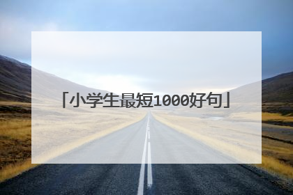 小学生最短1000好句