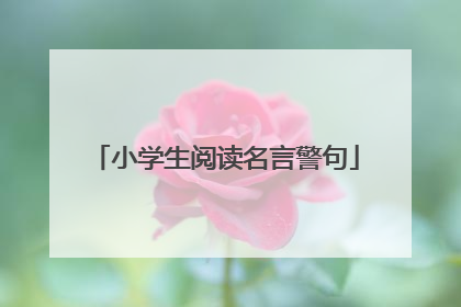 小学生阅读名言警句